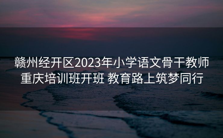 赣州经开区2023年小学语文骨干教师重庆培训班开班 教育路上筑梦同行