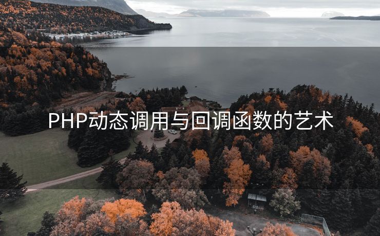 PHP动态调用与回调函数的艺术 PHP动态调用与回调函数的艺术