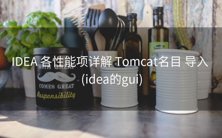 IDEA 各性能项详解 Tomcat名目 导入 (idea的gui)