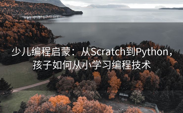 少儿编程启蒙：从Scratch到Python，孩子如何从小学习编程技术
