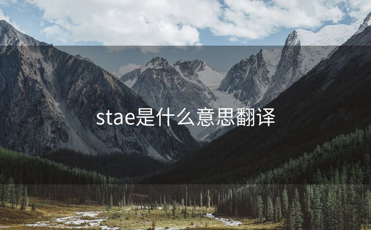 stae是什么意思翻译