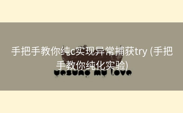 手把手教你纯c实现异常捕获try (手把手教你纯化实验)