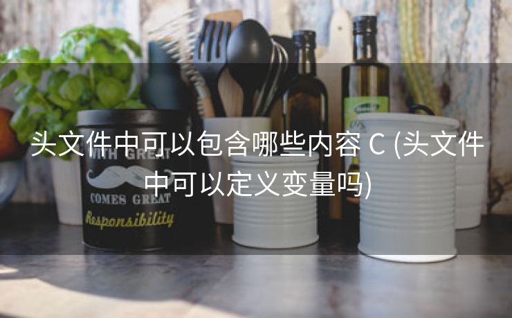 头文件中可以包含哪些内容 C (头文件中可以定义变量吗)