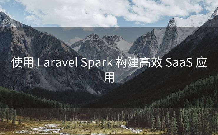 使用 Laravel Spark 构建高效 SaaS 应用 使用 Laravel Spark 构建高效 SaaS 应用