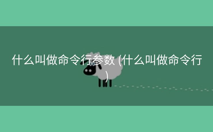 什么叫做命令行参数 (什么叫做命令行)