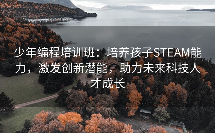 少年编程培训班：培养孩子STEAM能力，激发创新潜能，助力未来科技人才成长