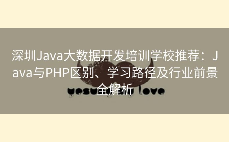 深圳Java大数据开发培训学校推荐：Java与PHP区别、学习路径及行业前景全解析