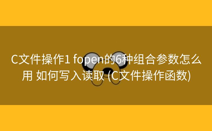 C文件操作1 fopen的6种组合参数怎么用 如何写入读取 (C文件操作函数)