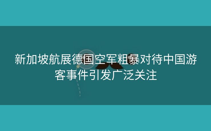 新加坡航展德国空军粗暴对待中国游客事件引发广泛关注