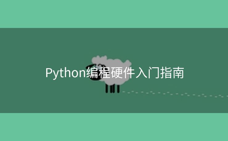 Python编程硬件入门指南