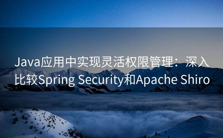 Java应用中实现灵活权限管理：深入比较Spring Security和Apache Shiro