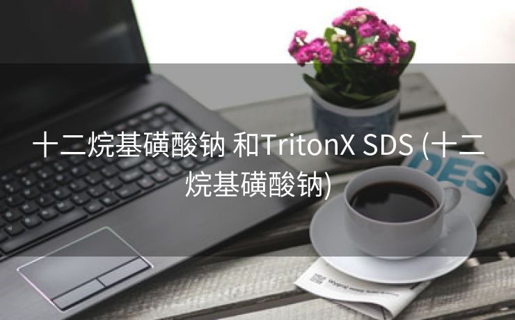 十二烷基磺酸钠 和TritonX SDS (十二烷基磺酸钠)