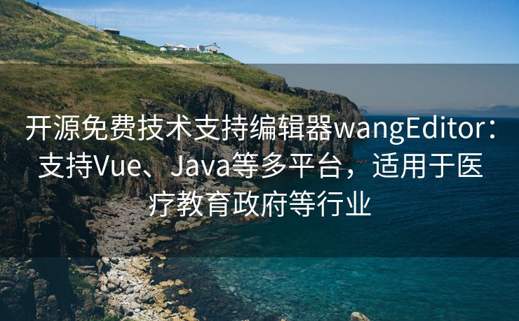 开源免费技术支持编辑器wangEditor：支持Vue、Java等多平台，适用于医疗教育政府等行业
