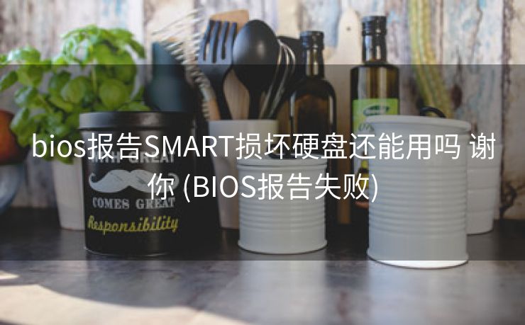 bios报告SMART损坏硬盘还能用吗 谢你 (BIOS报告失败)
