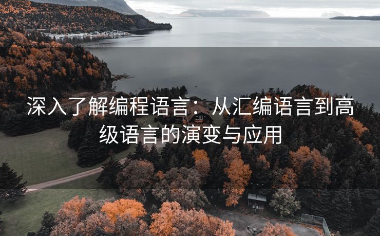 深入了解编程语言：从汇编语言到高级语言的演变与应用