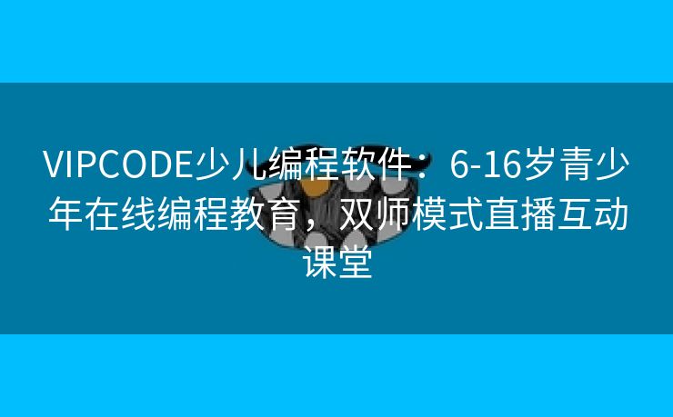 VIPCODE少儿编程软件：6-16岁青少年在线编程教育，双师模式直播互动课堂