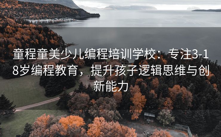 童程童美少儿编程培训学校：专注3-18岁编程教育，提升孩子逻辑思维与创新能力
