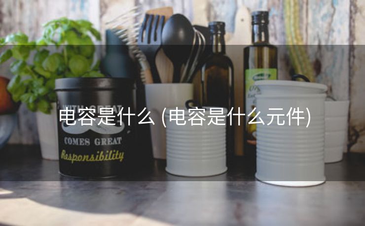 电容是什么 (电容是什么元件)