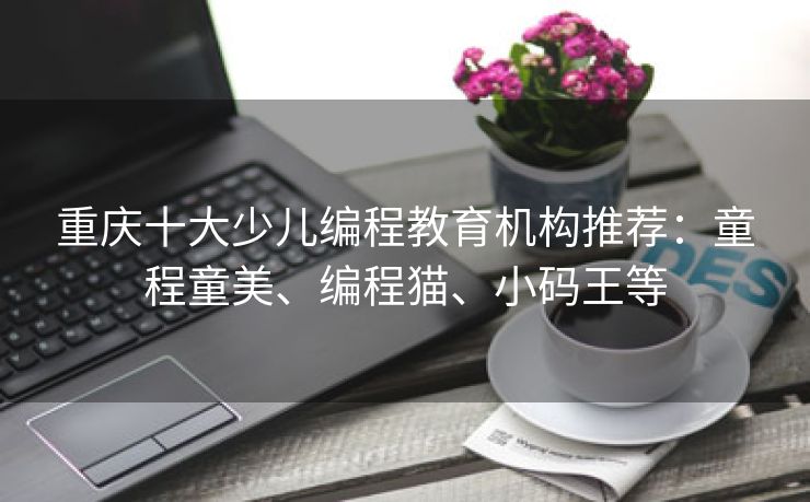 重庆十大少儿编程教育机构推荐：童程童美、编程猫、小码王等