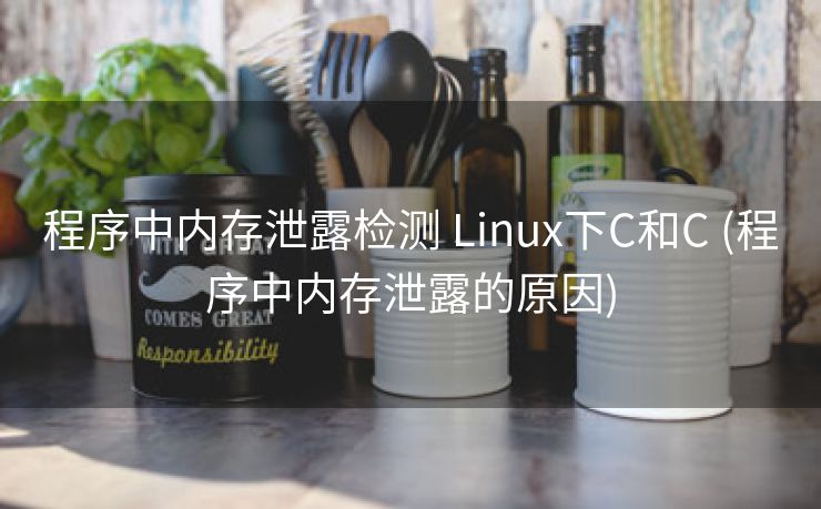 程序中内存泄露检测 Linux下C和C (程序中内存泄露的原因)