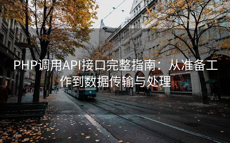 PHP调用API接口完整指南：从准备工作到数据传输与处理