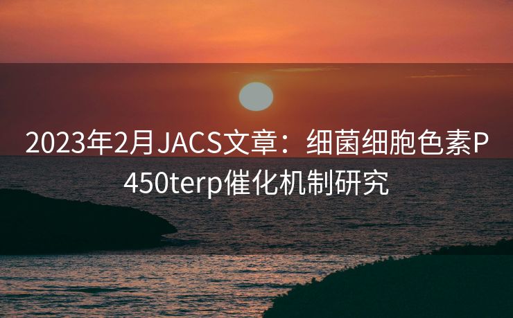 2023年2月JACS文章:细菌细胞色素P450terp催化机制研究 2023年2月JACS文章:细菌细胞色素P450terp催化机制研究