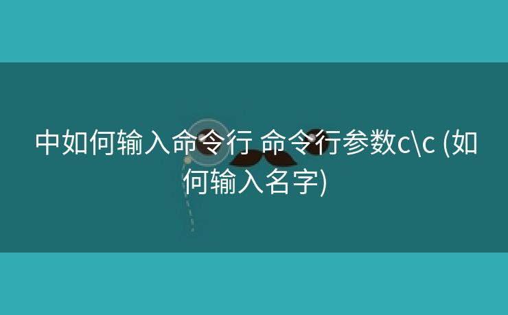 中如何输入命令行 命令行参数c\c (如何输入名字)