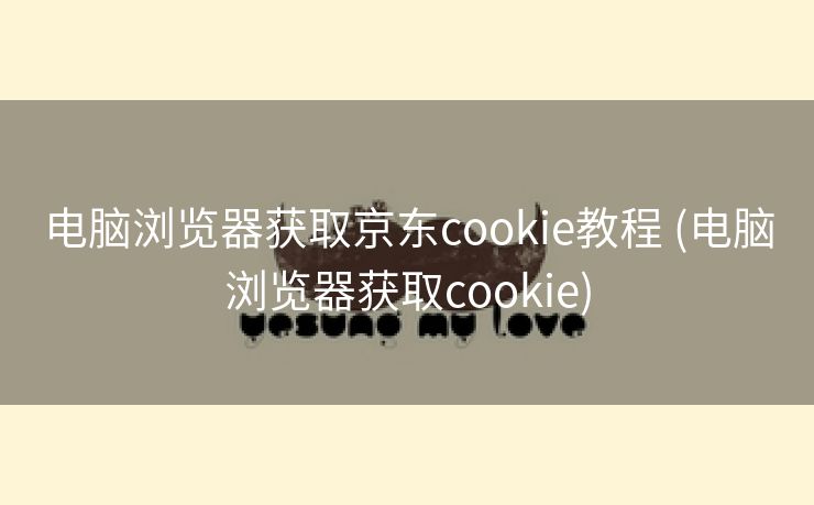 电脑浏览器获取京东cookie教程 (电脑浏览器获取cookie)