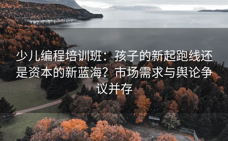 少儿编程培训班：孩子的新起跑线还是资本的新蓝海？市场需求与舆论争议并存