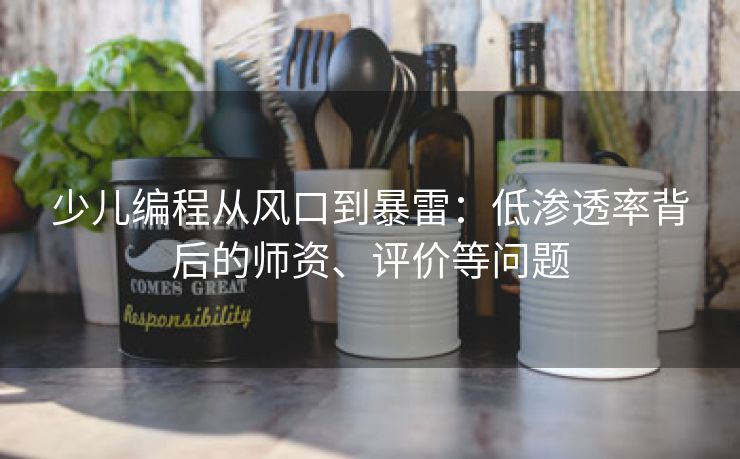 少儿编程从风口到暴雷：低渗透率背后的师资、评价等问题