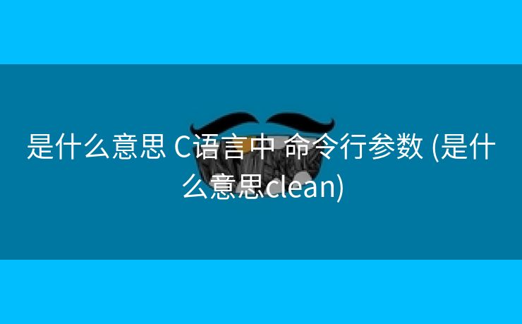是什么意思 C语言中 命令行参数 (是什么意思clean)