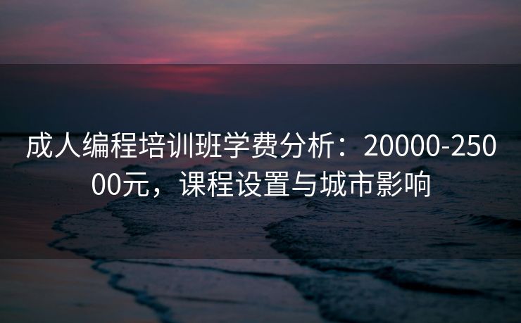 成人编程培训班学费分析：20000-25000元，课程设置与城市影响