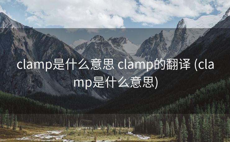 clamp是什么意思 clamp的翻译 (clamp是什么意思)