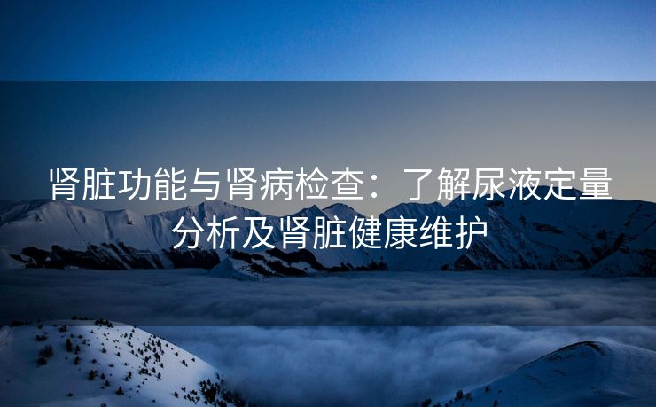 肾脏功能与肾病检查：了解尿液定量分析及肾脏健康维护