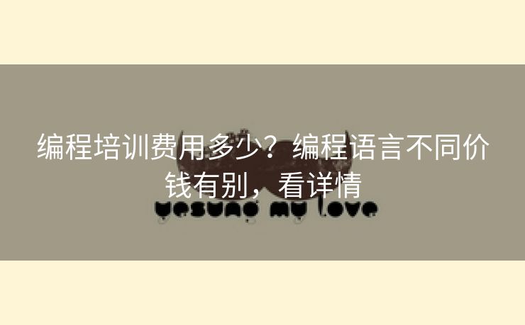 编程培训费用多少？编程语言不同价钱有别，看详情