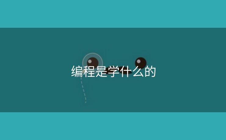编程是学什么的