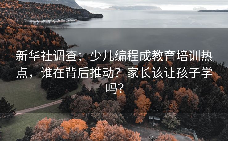 新华社调查：少儿编程成教育培训热点，谁在背后推动？家长该让孩子学吗？