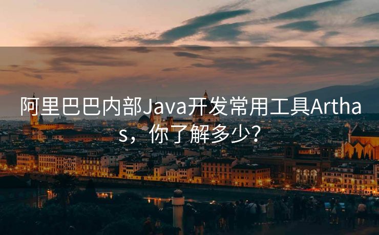 阿里巴巴内部Java开发常用工具Arthas，你了解多少？