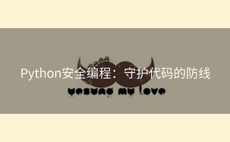 Python安全编程：守护代码的防线