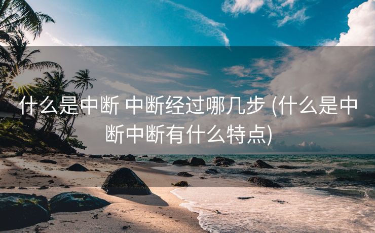 什么是中断 中断经过哪几步 (什么是中断中断有什么特点)