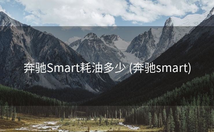 奔驰Smart耗油多少 (奔驰smart)