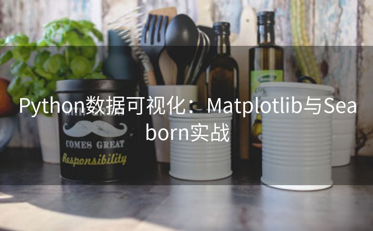 Python数据可视化：Matplotlib与Seaborn实战