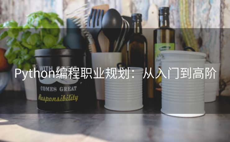 Python编程职业规划：从入门到高阶