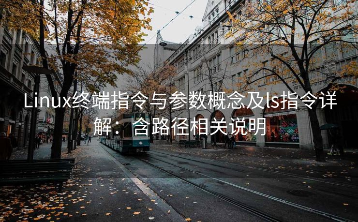 Linux终端指令与参数概念及ls指令详解：含路径相关说明