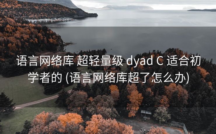 语言网络库 超轻量级 dyad C 适合初学者的 (语言网络库超了怎么办) 语言网络库 超轻量级 dyad C 适合初学者的 (语言网络库超了怎么办)
